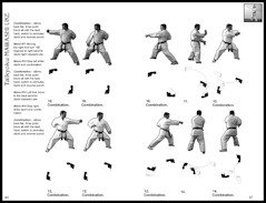 Karate Book Kata