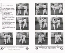 Karate Book Sanchin Karate Book Sanchin