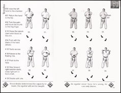 Karate Book Tensho