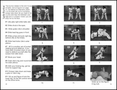 Karate Book Saifa