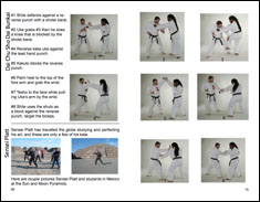 Karate Book Dai Chu Sho Dai