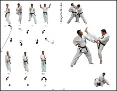 Karate Book Hangetsu