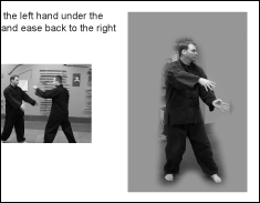 Tai Chi Short Form Book Tai Chi Short Form Book